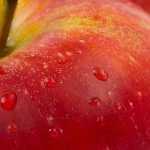 Rau củ, trái cây lên men: hệ vi khuẩn, triển vọng và kết luận