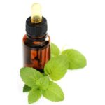13 lợi ích của tinh dầu bạc hà (peppermint)
