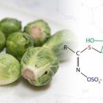 Khoa học hương vị: Các loại rau họ cải